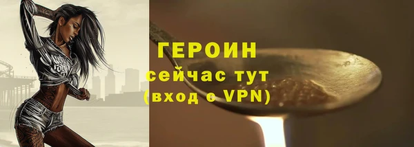 spice Дмитриев