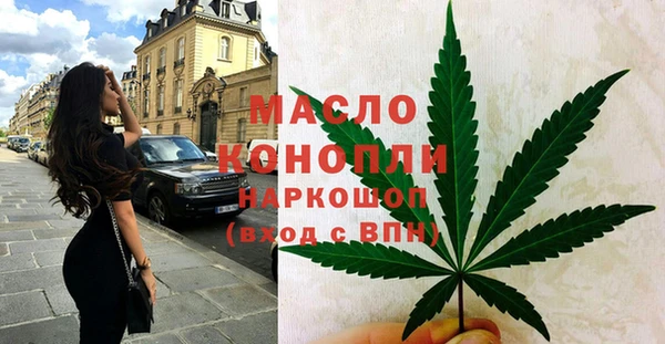 spice Дмитриев