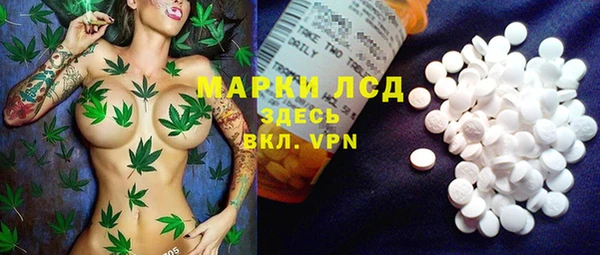 spice Дмитриев