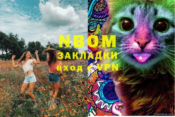 молекула духа Осинники