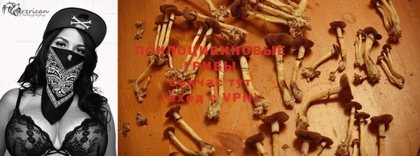 молекула духа Осинники