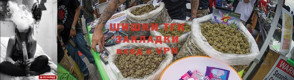 spice Дмитриев