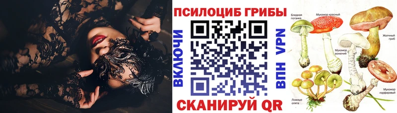 Псилоцибиновые грибы прущие грибы Омутнинск